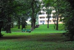 Cmentarz przy ul. Bogumińskiej