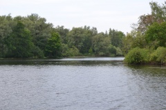 Duńczyca