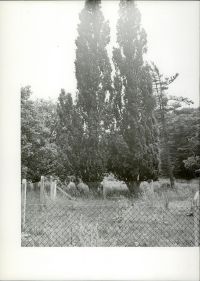 Oś widokowa parku
