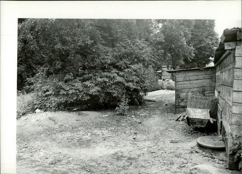 Plik:Bezrzecze park 011.jpg