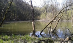 Jezioro Głuszec
