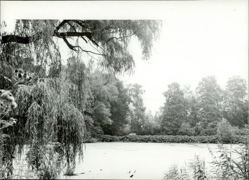 Plik:Bezrzecze park 07.jpg