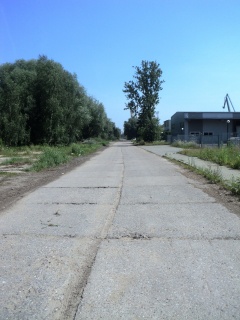 Ulica Basenowa