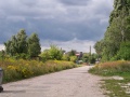 Maklerska