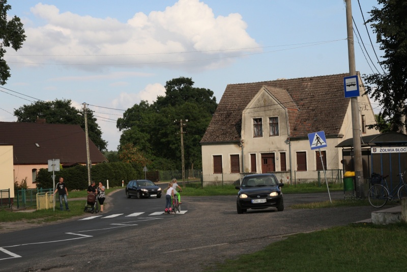 Plik:Żółwia błoć 05.jpg